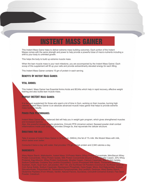 MPN INSTANT MASS GAINER 2.7KG